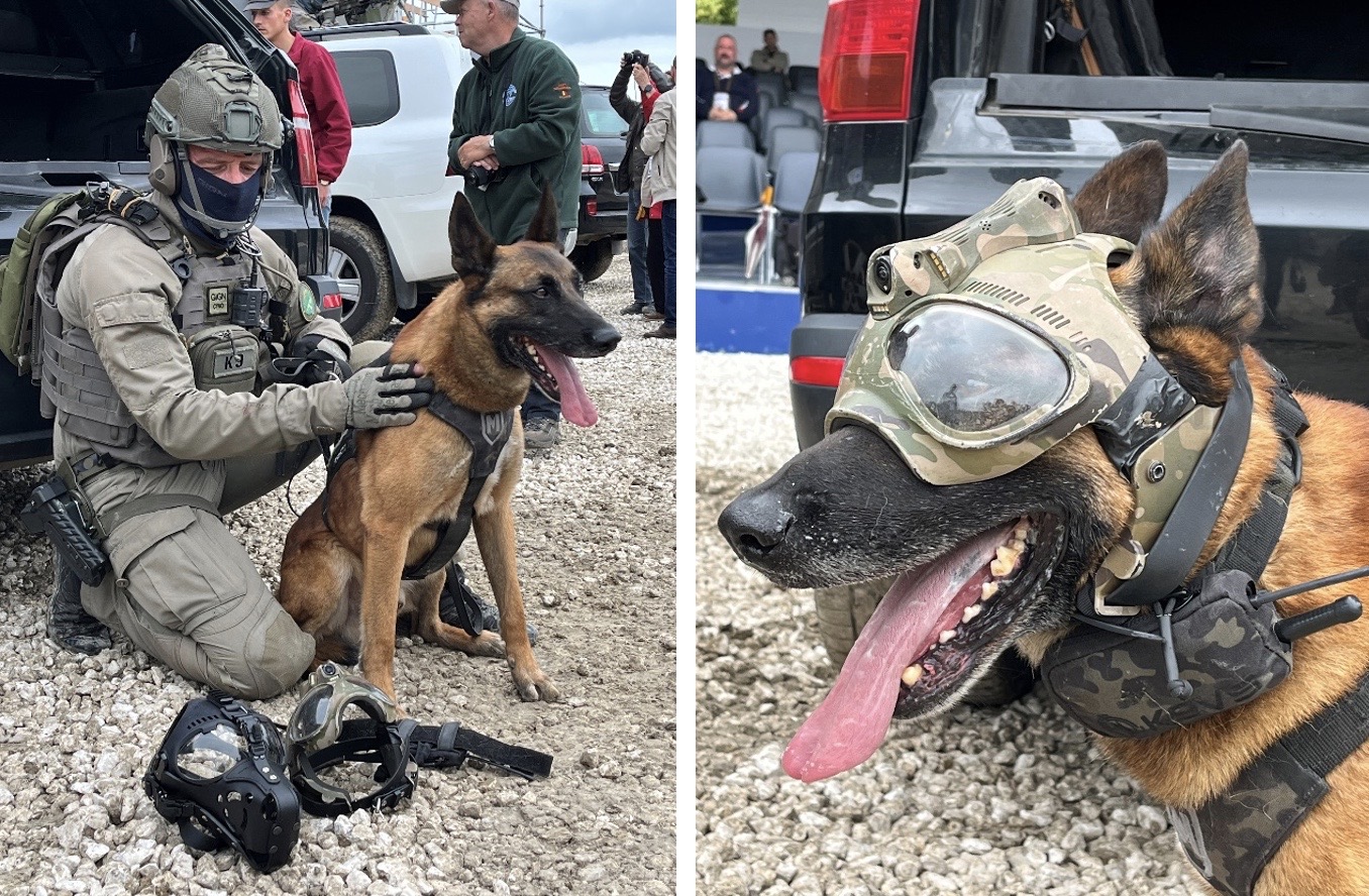 GIGN-Spezialkräfte mit vierbeinigen Kameraden.