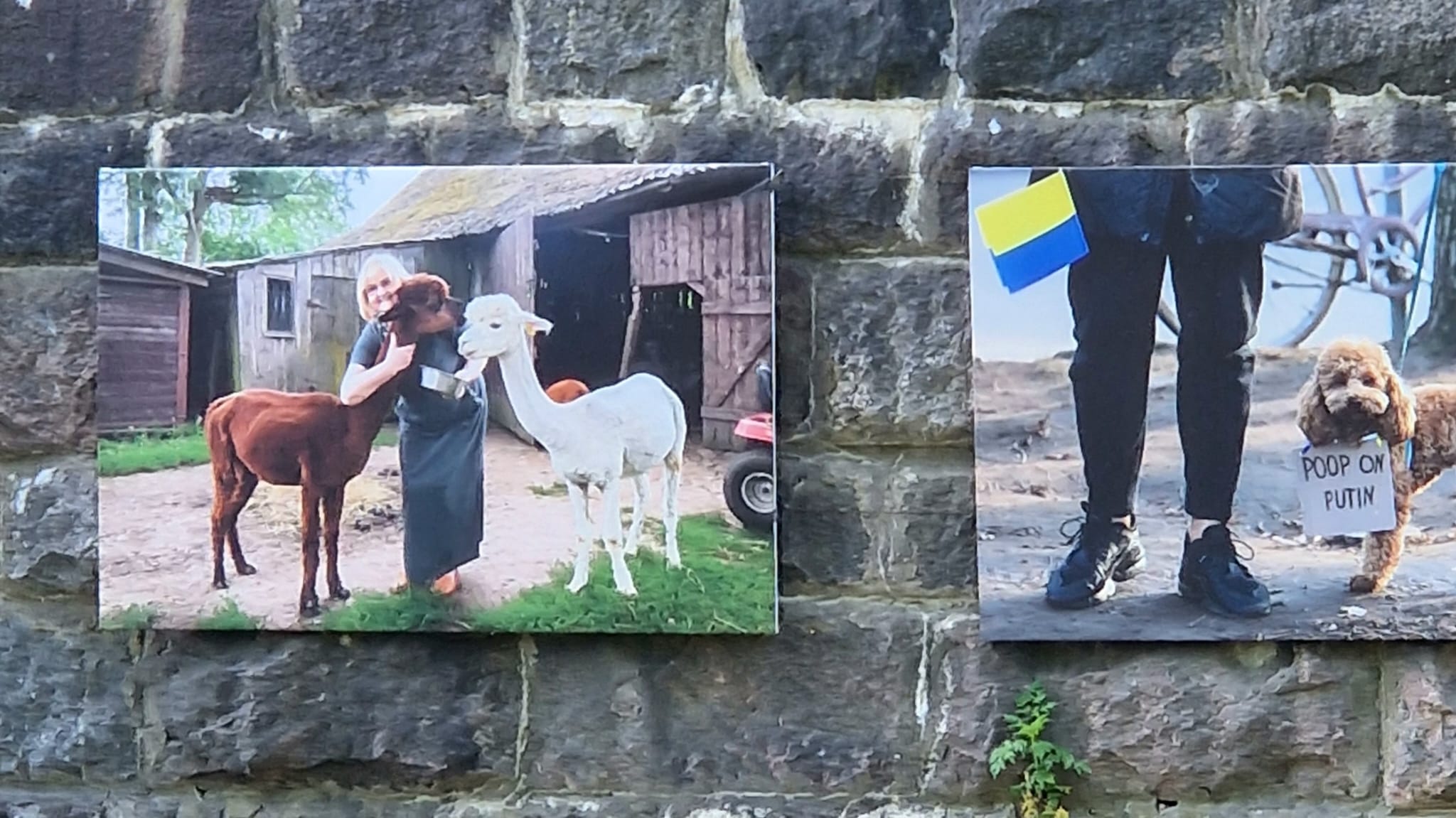 Bilder an einer litauischen Mauer.