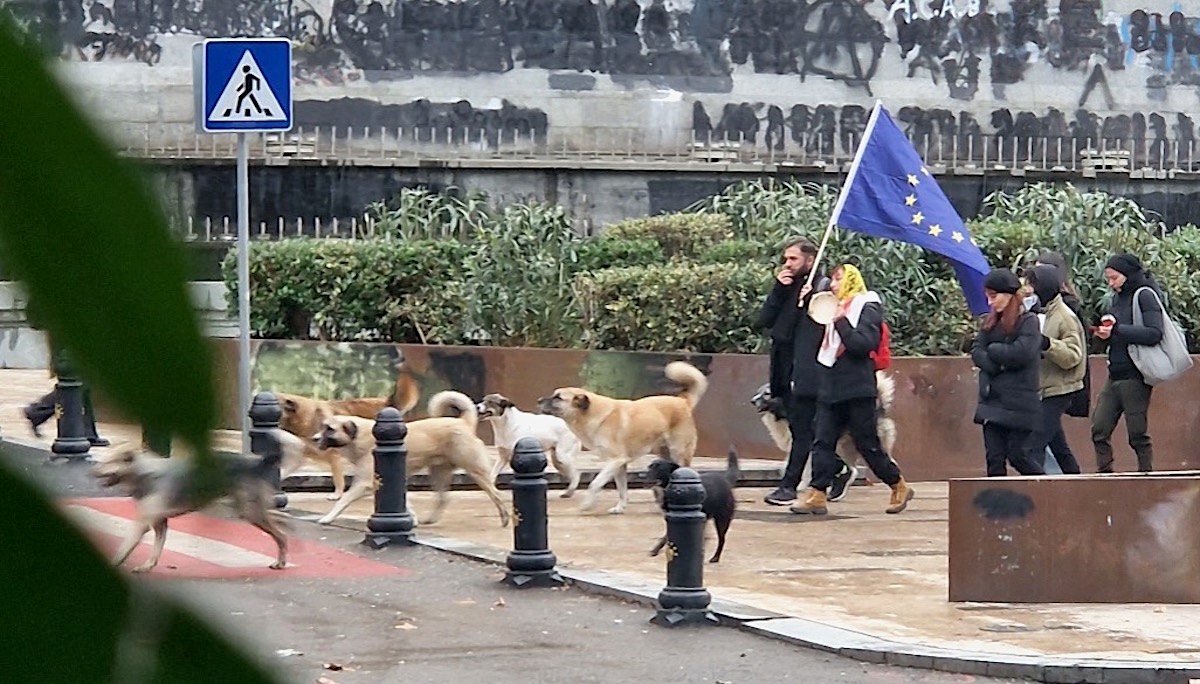 Wollen in Richtung EU – Protestierende in der georgischen Hauptstadt Tiflis.